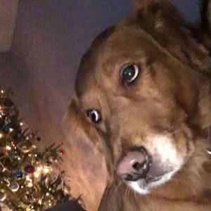 Meet your Posher, Audrey